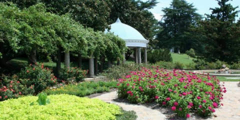 Гранични цветя и трева: какви растения да изберат за регистрация в страната